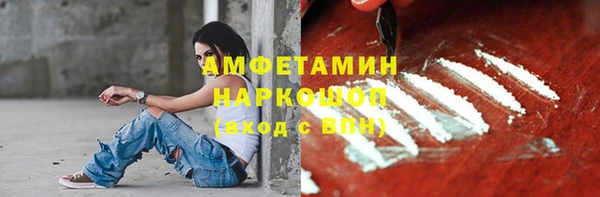 крисы Богородицк