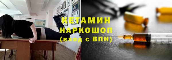 крисы Богородицк