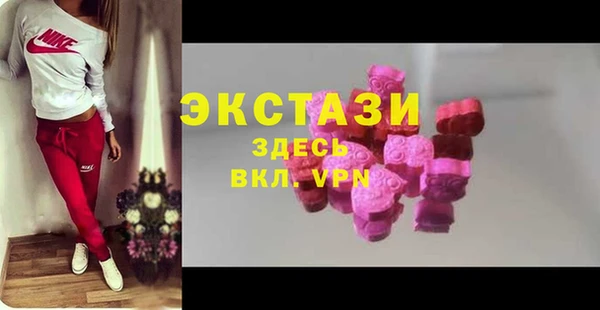 крисы Богородицк