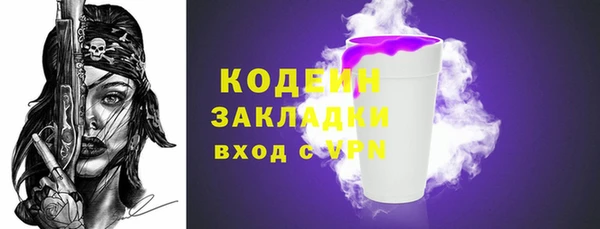 крисы Богородицк