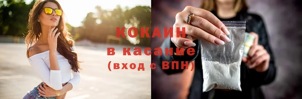крисы Богородицк