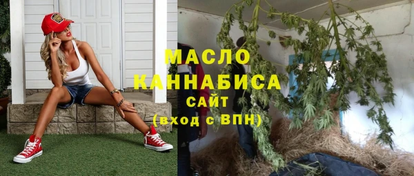 крисы Богородицк
