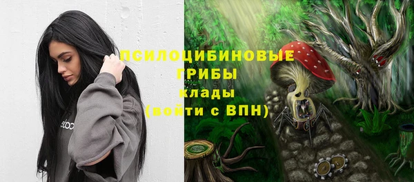 PSILOCYBIN Гусев