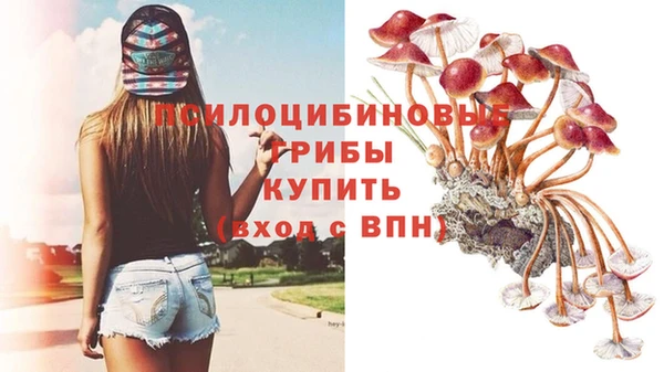 крисы Богородицк