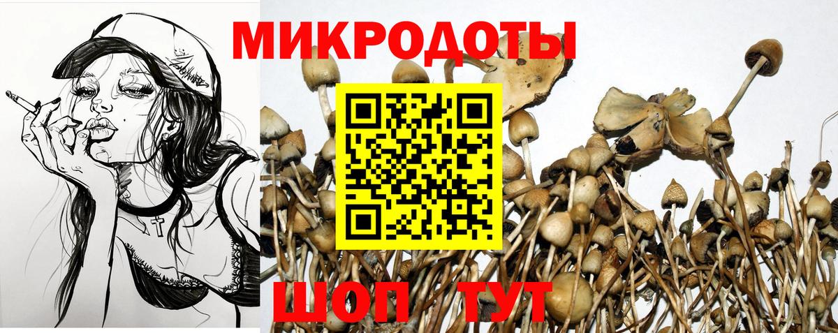Галлюциногенные грибы MAGIC MUSHROOMS Вязники
