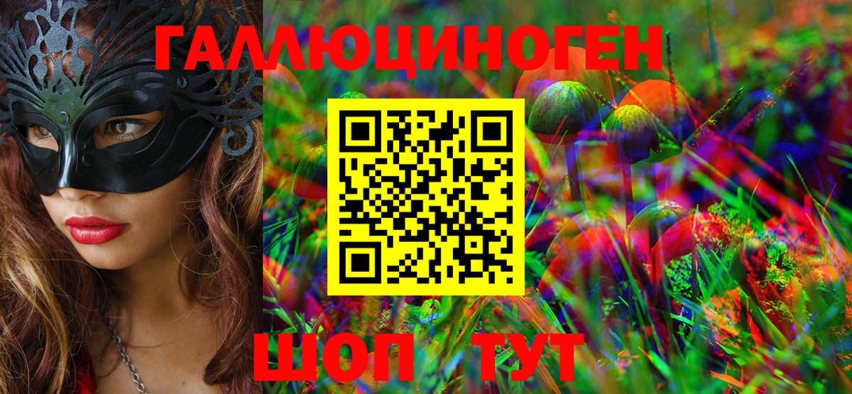 Псилоцибиновые грибы Psilocybine cubensis Вязники